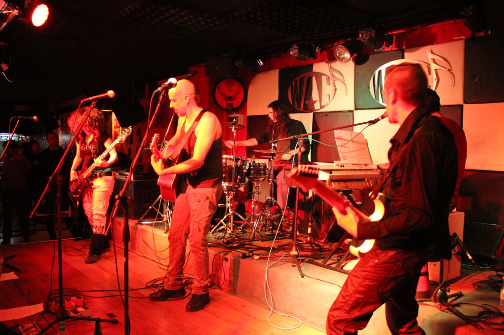 Luna y Panorama de los Insectos